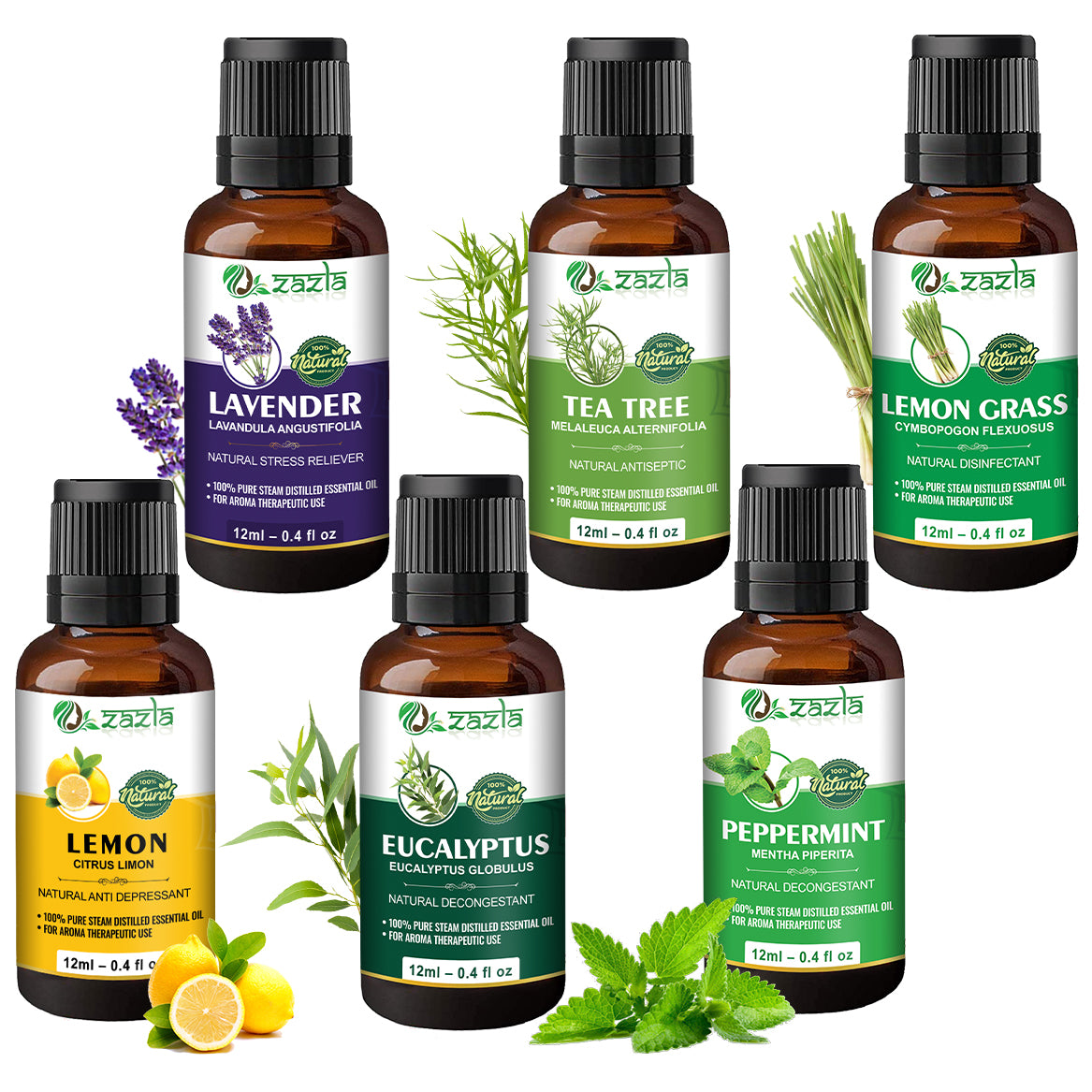 Zazla Essential Oils Combo – Lavender, Tea Tree, Lemongrass, Lemon, Eucalyptus & Peppermint (12ml each)