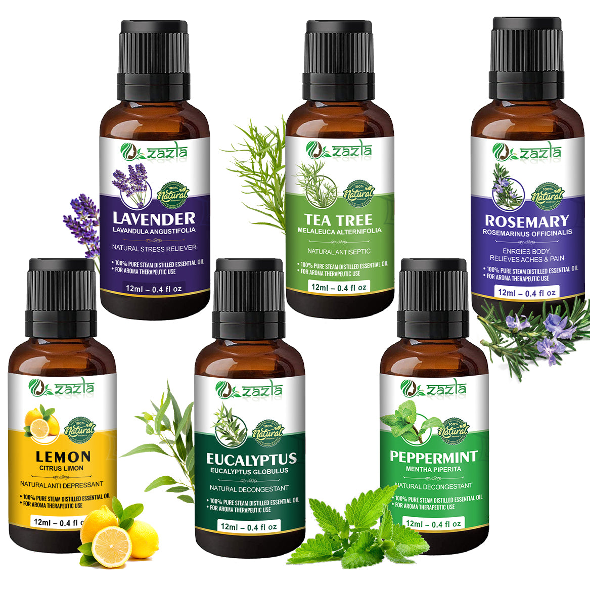 Zazla Essential Oils Combo – Lavender, Tea Tree, Rosemary, Lemon, Eucalyptus & Peppermint (12ml each)
