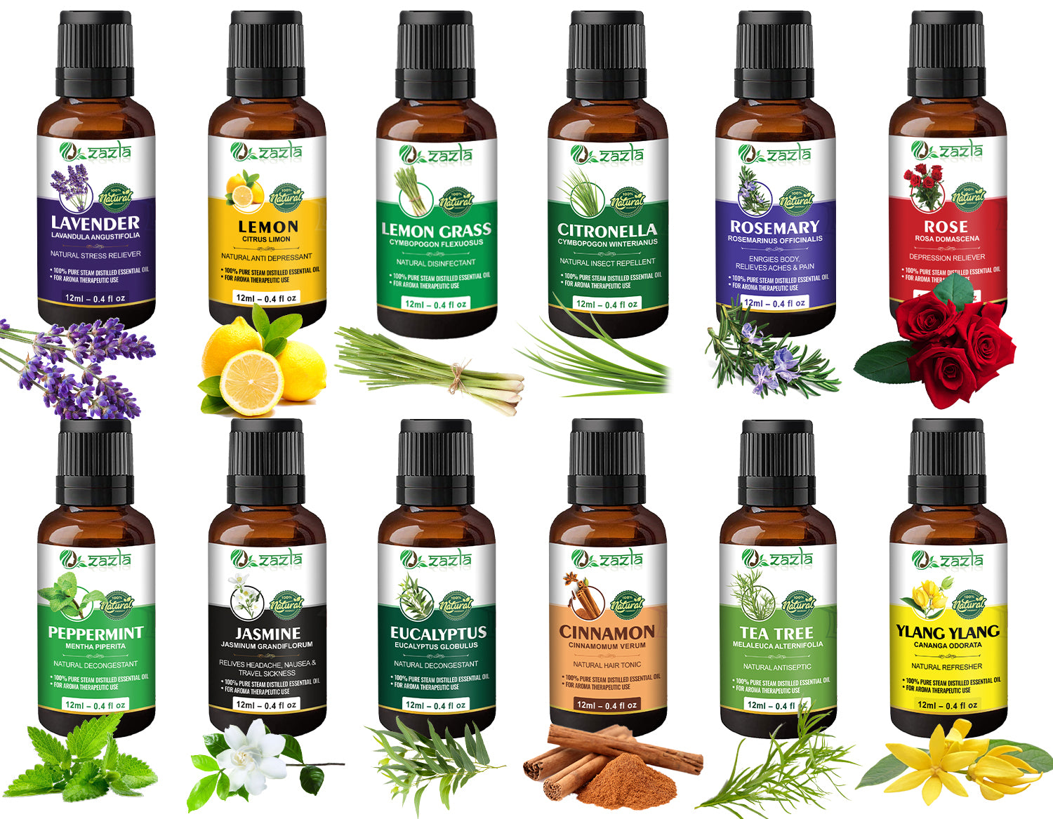 Zazla Essential Oils Combo – 12 in 1 (12ml each)